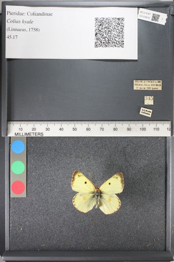 Media type: image;   Entomology 124670